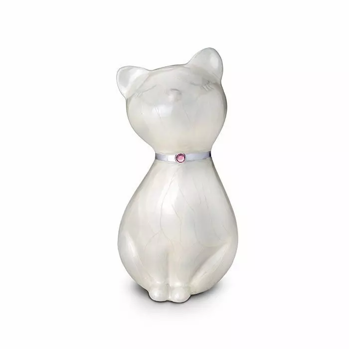 Princess cat urn store